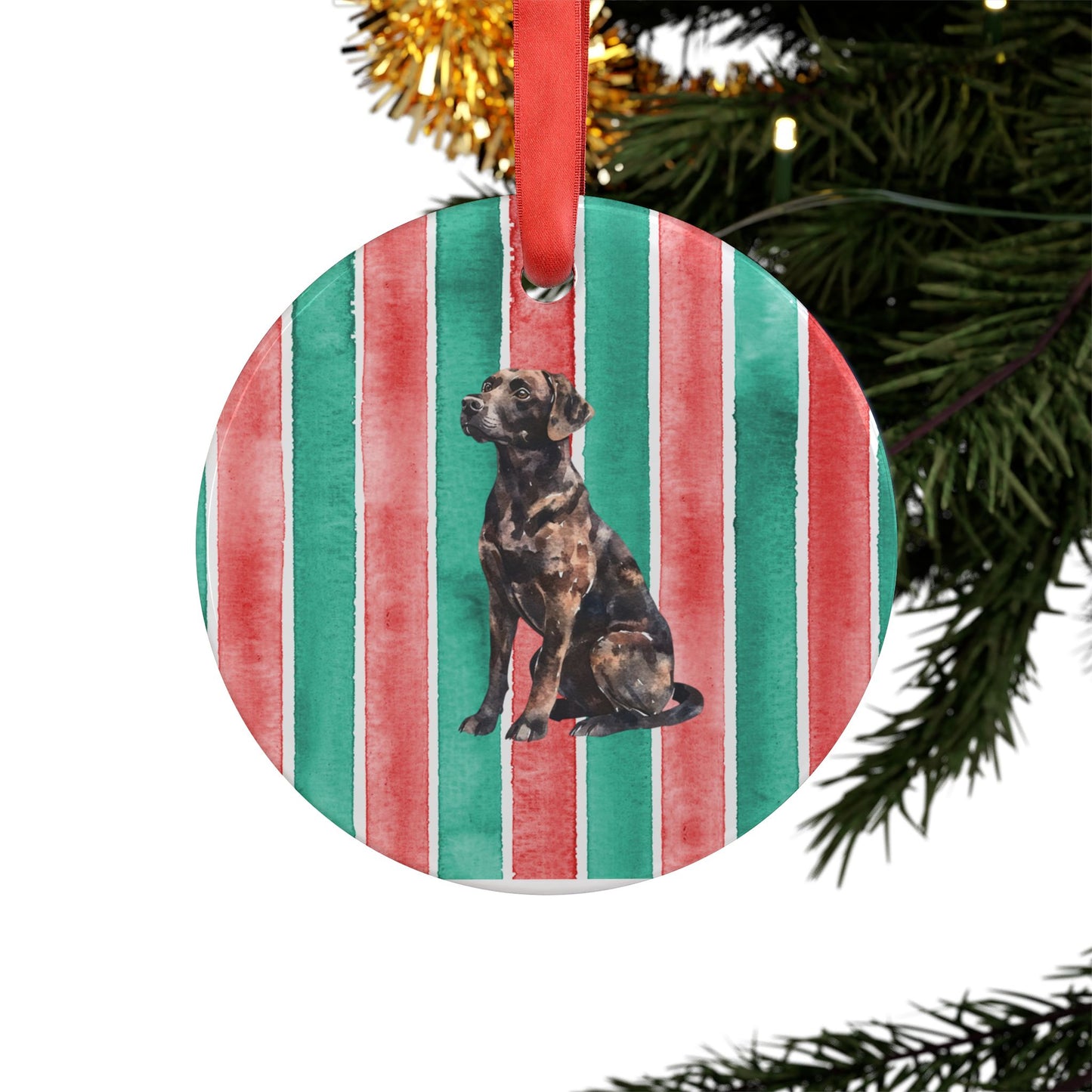 Chocolate Lab #3 Acrylic Christmas Ornament with Ribbon