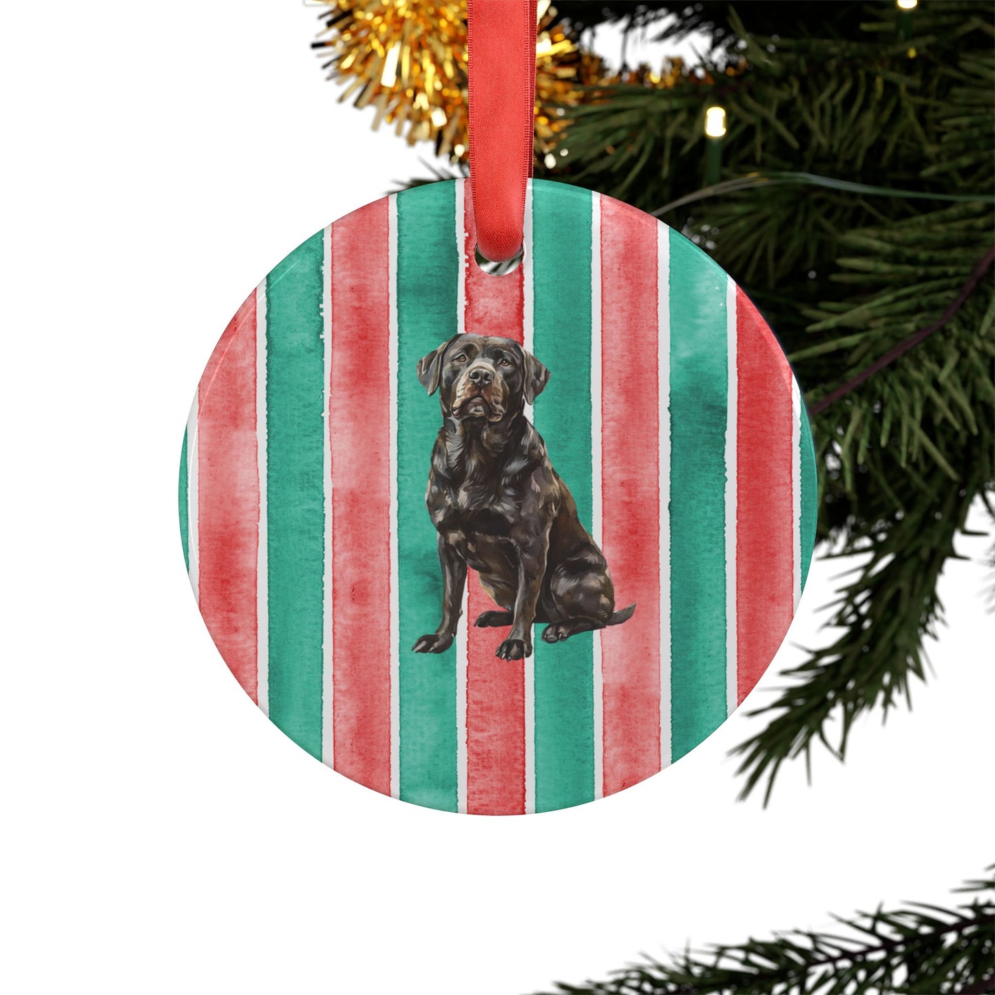Chocolate Lab #2 Acrylic Christmas Ornament with Ribbon